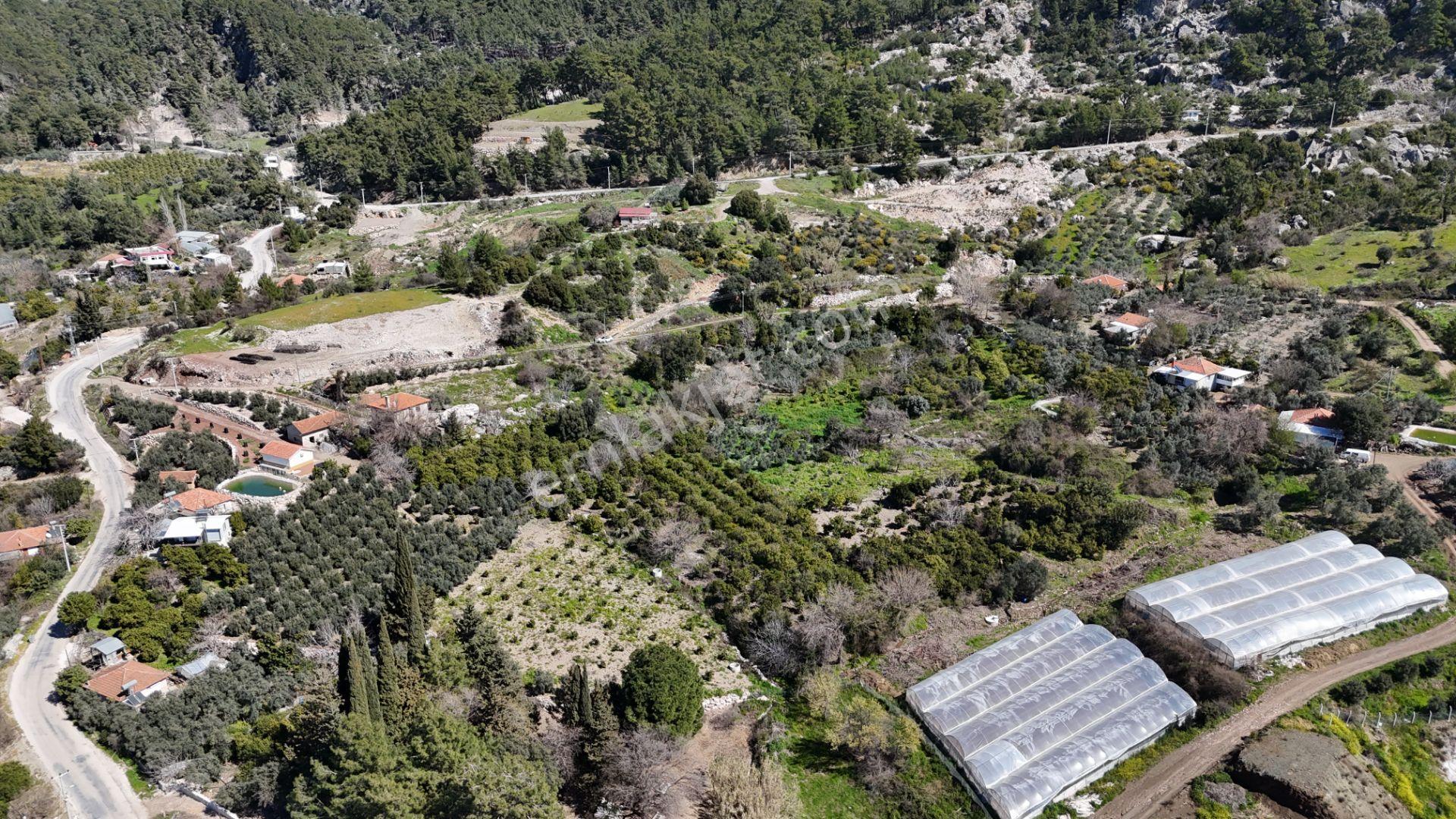 Antalya Kumluca Erentepe Mah. Satılık Narenciye Bahçesi - Görsel 10