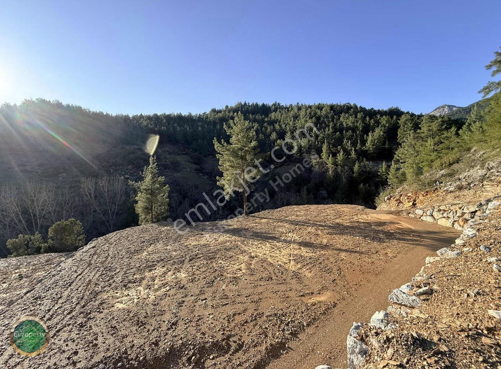 Sapadere Köy İçi 13.000 M² Müstakil Tapulu Tarla Dere Kenarı- - Görsel 9