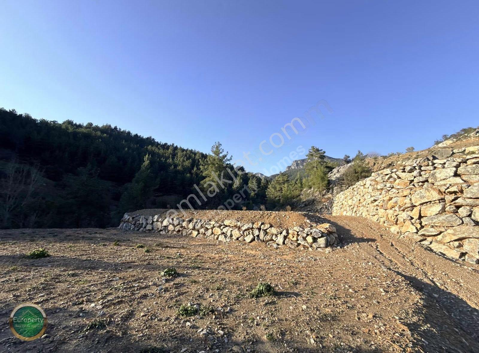 Sapadere Köy İçi 13.000 M² Müstakil Tapulu Tarla Dere Kenarı- - Görsel 11