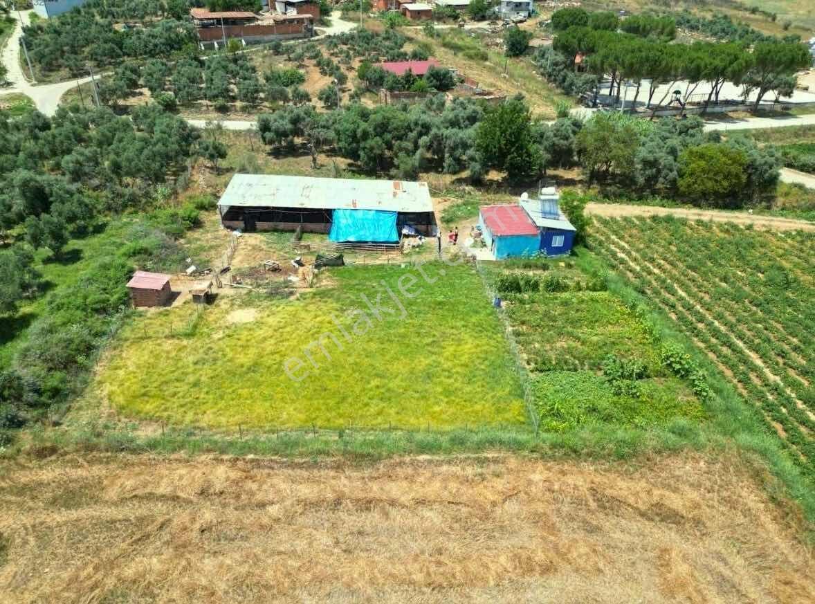 Işıklar Köyünde Merkezde 1.580 M2 İşletmeciliğe Uygun Çiftlik - Görsel 6