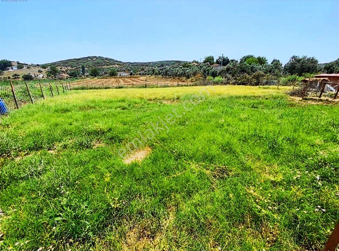 Işıklar Köyünde Merkezde 1.580 M2 İşletmeciliğe Uygun Çiftlik - Görsel 10