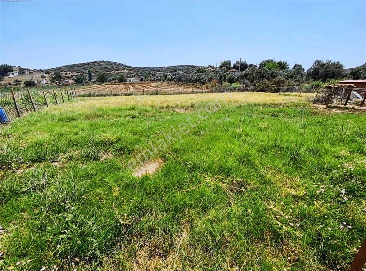 Işıklar Köyünde Merkezde 1.580 M2 İşletmeciliğe Uygun Çiftlik - Görsel 5