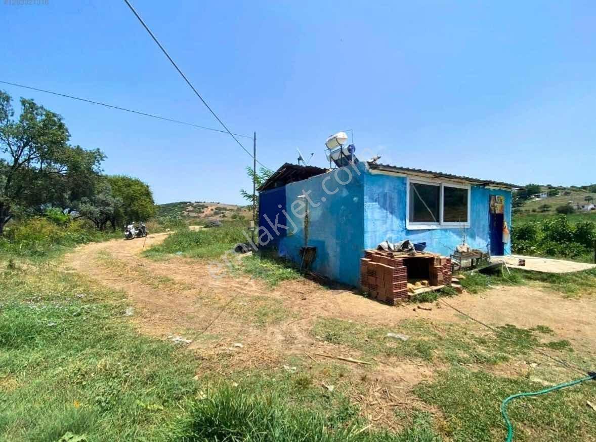 Işıklar Köyünde Merkezde 1.580 M2 İşletmeciliğe Uygun Çiftlik - Görsel 9
