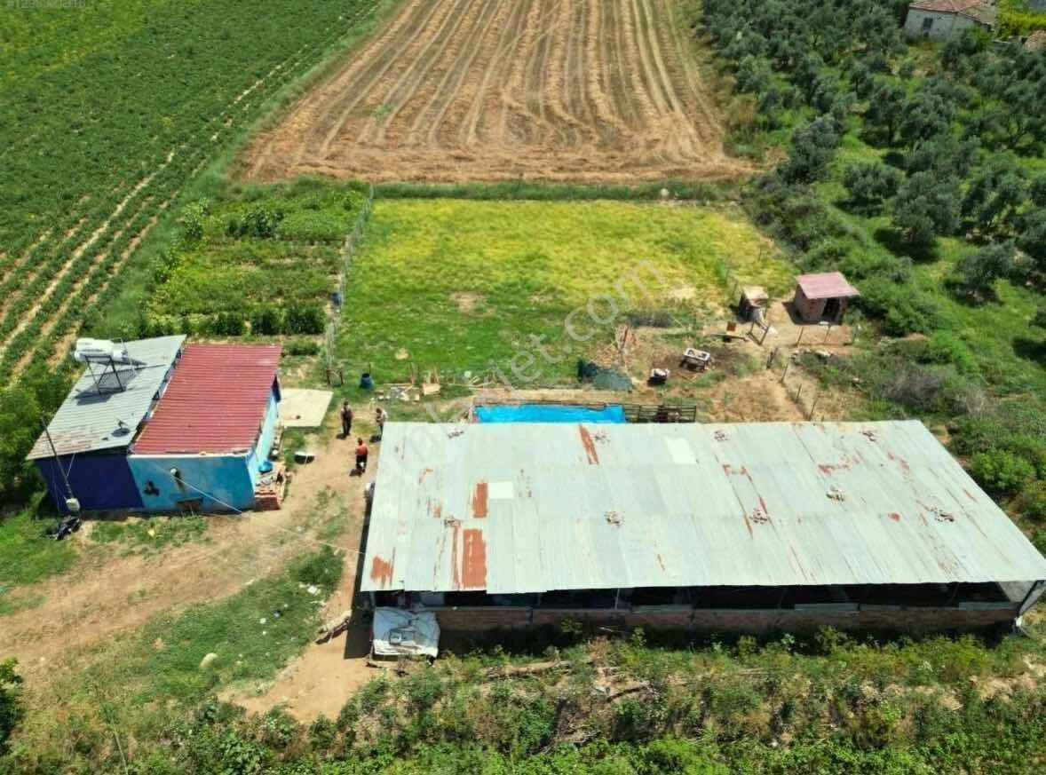 Işıklar Köyünde Merkezde 1.580 M2 İşletmeciliğe Uygun Çiftlik - Görsel 12