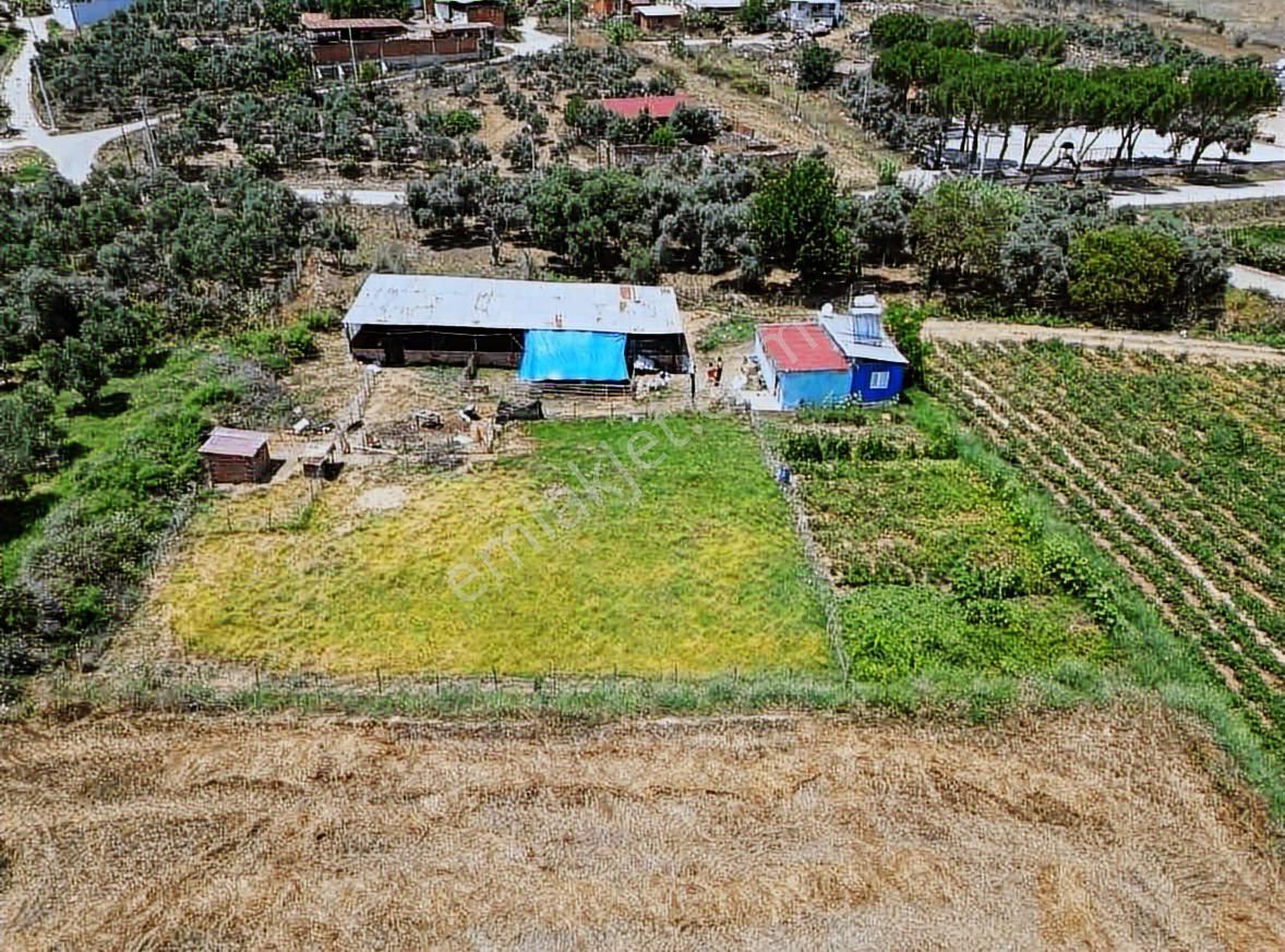 Işıklar Köyünde Merkezde 1.580 M2 İşletmeciliğe Uygun Çiftlik