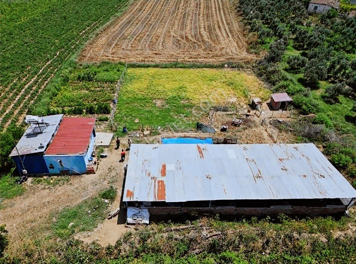 Işıklar Köyünde Merkezde 1.580 M2 İşletmeciliğe Uygun Çiftlik - Görsel 11