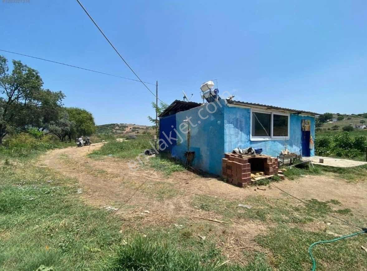 Işıklar Köyünde Merkezde 1.580 M2 İşletmeciliğe Uygun Çiftlik - Görsel 4