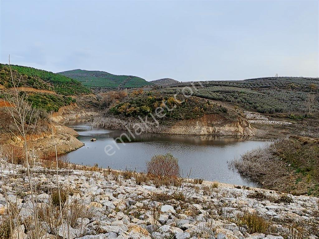 Mudanya Yalıçiftlik'te Kapitalden 4500 M2 Tarla - Görsel 15