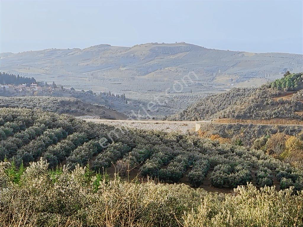 Mudanya Yalıçiftlik'te Kapitalden 4500 M2 Tarla - Görsel 13