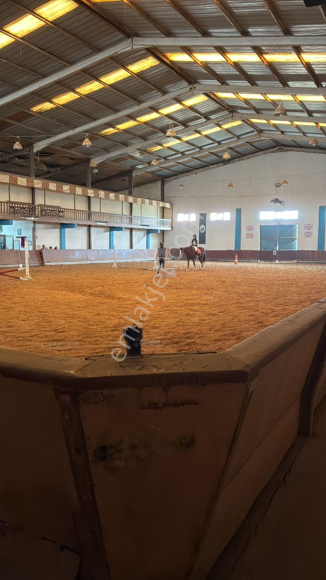Silivri Ortaköy'de 35.209 M2 Faal Ruhsatlı At Çiftliği,36000000usd - Görsel 10