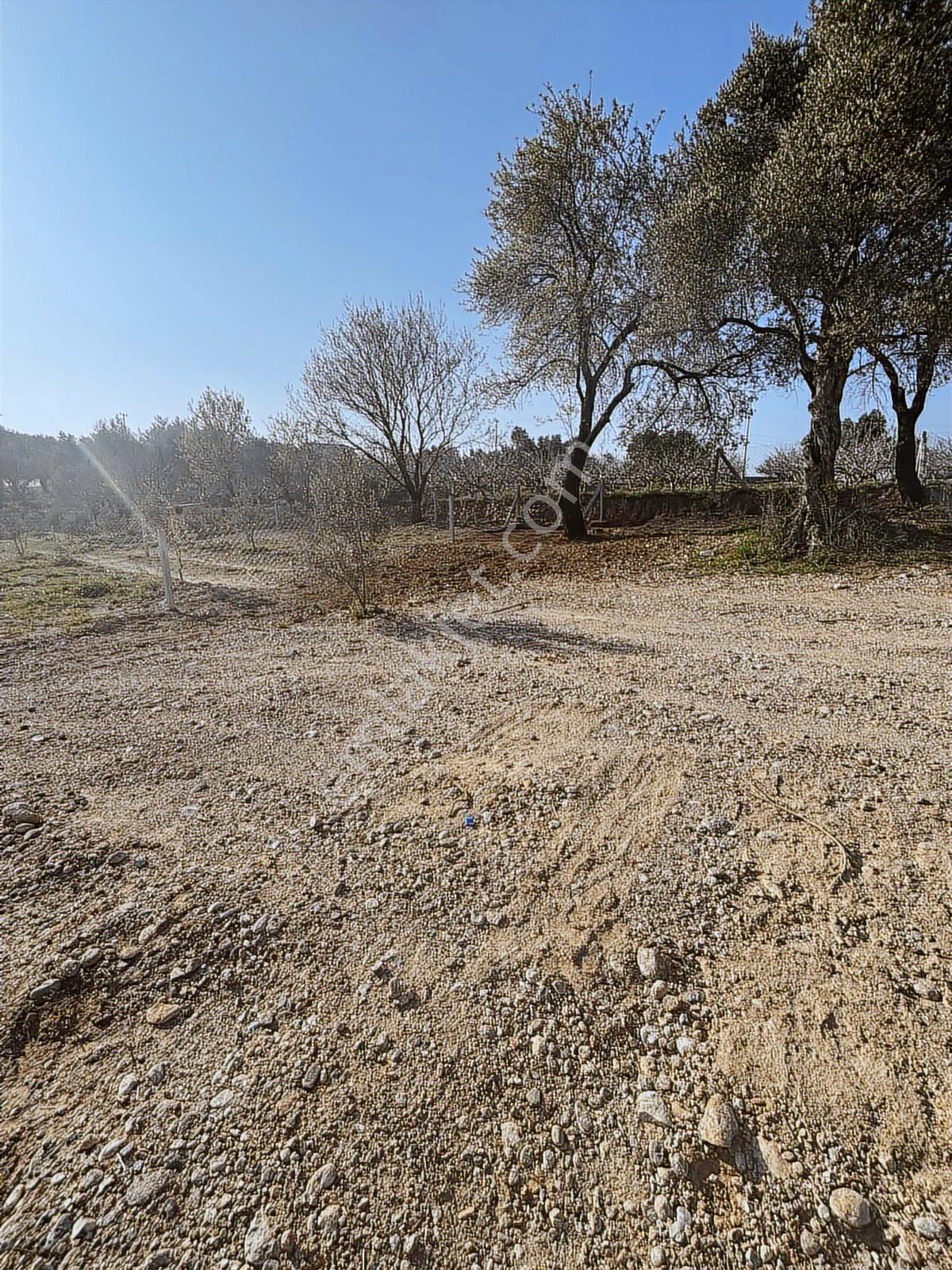 Kırıklarda Otobüs Durağı Yakını 200 M2 Arsa - Görsel 7
