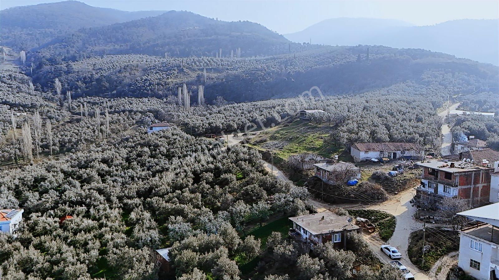 İznik Müşküle Köyünde 331 M² Köyiçi İmarlı Satılık Arsa - Görsel 4