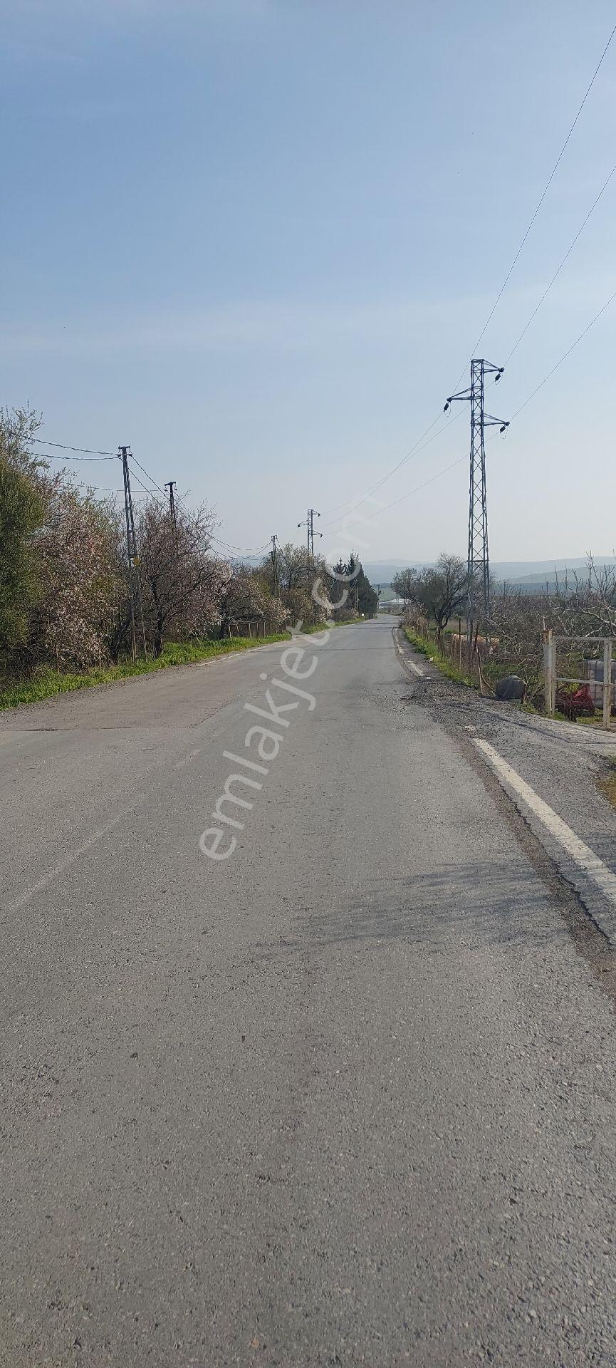 İzmir Aliağa Ekka Emlak Tan Güzelhisar Asfaltı Üzerinde 2750m2 - Görsel 4