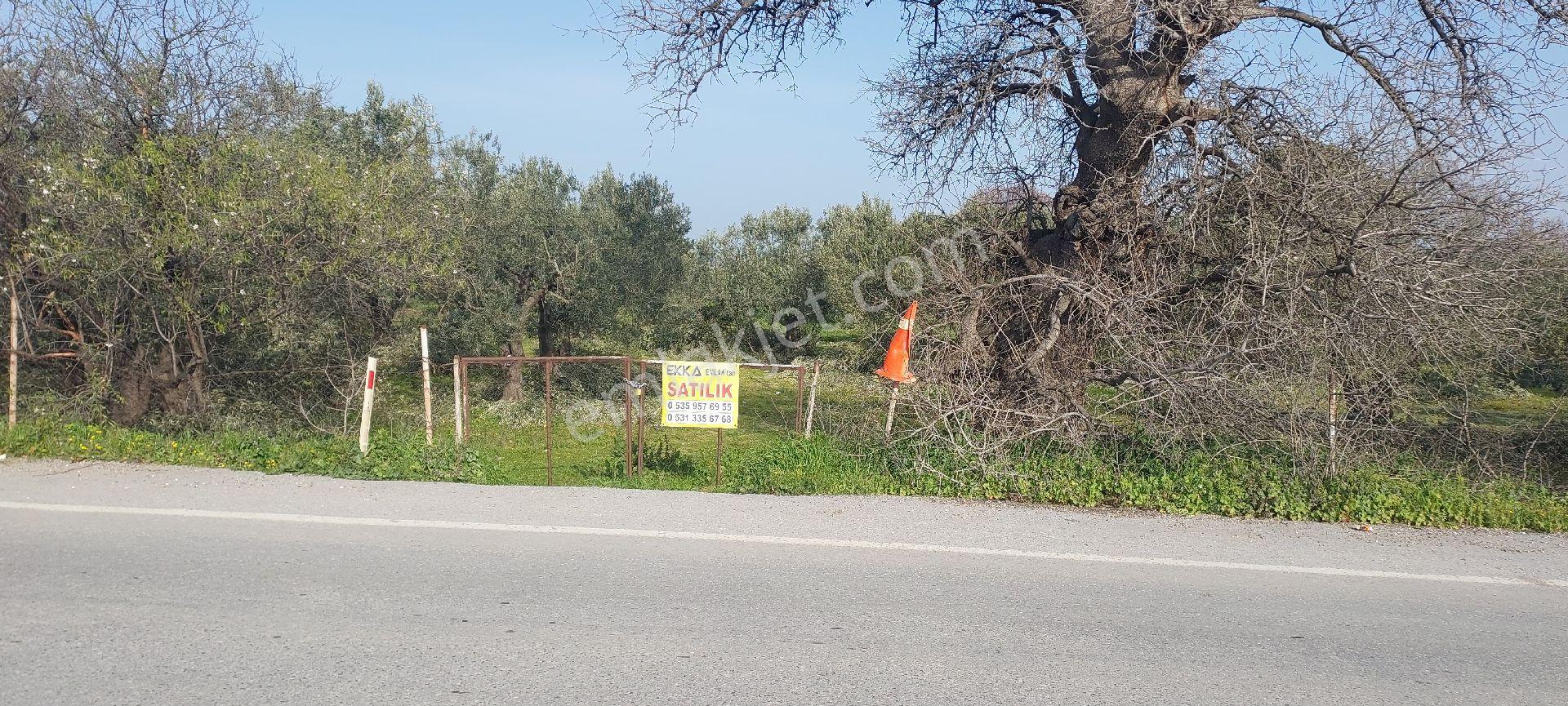 İzmir Aliağa Ekka Emlak Tan Güzelhisar Asfaltı Üzerinde 2750m2 - Görsel 2