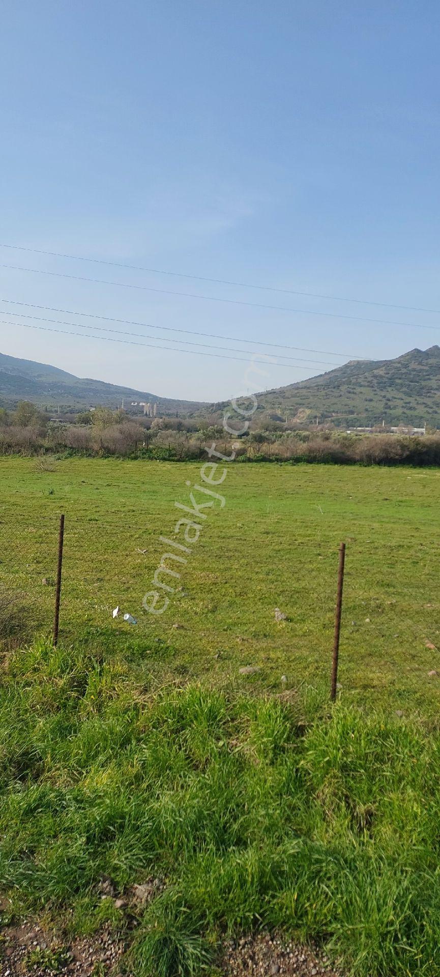 İzmir Aliağa Ekka Emlak Tan Çıtak Yolu Üzerinde 16 Dönüm - Görsel 4