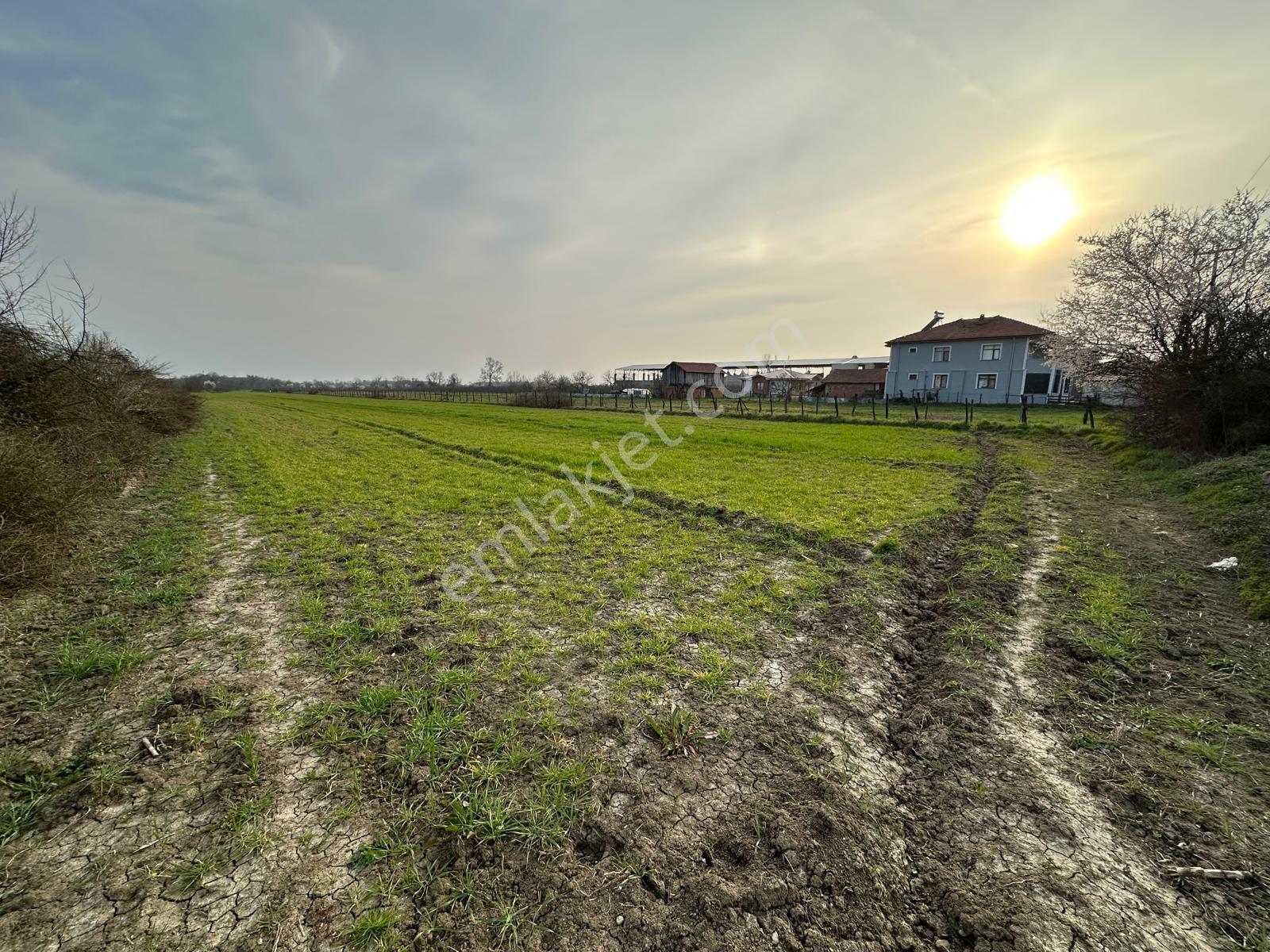 Aynalıda Cadde Üstü 8.648 M2 %40 Depo İmarlı Arsa - Görsel 25