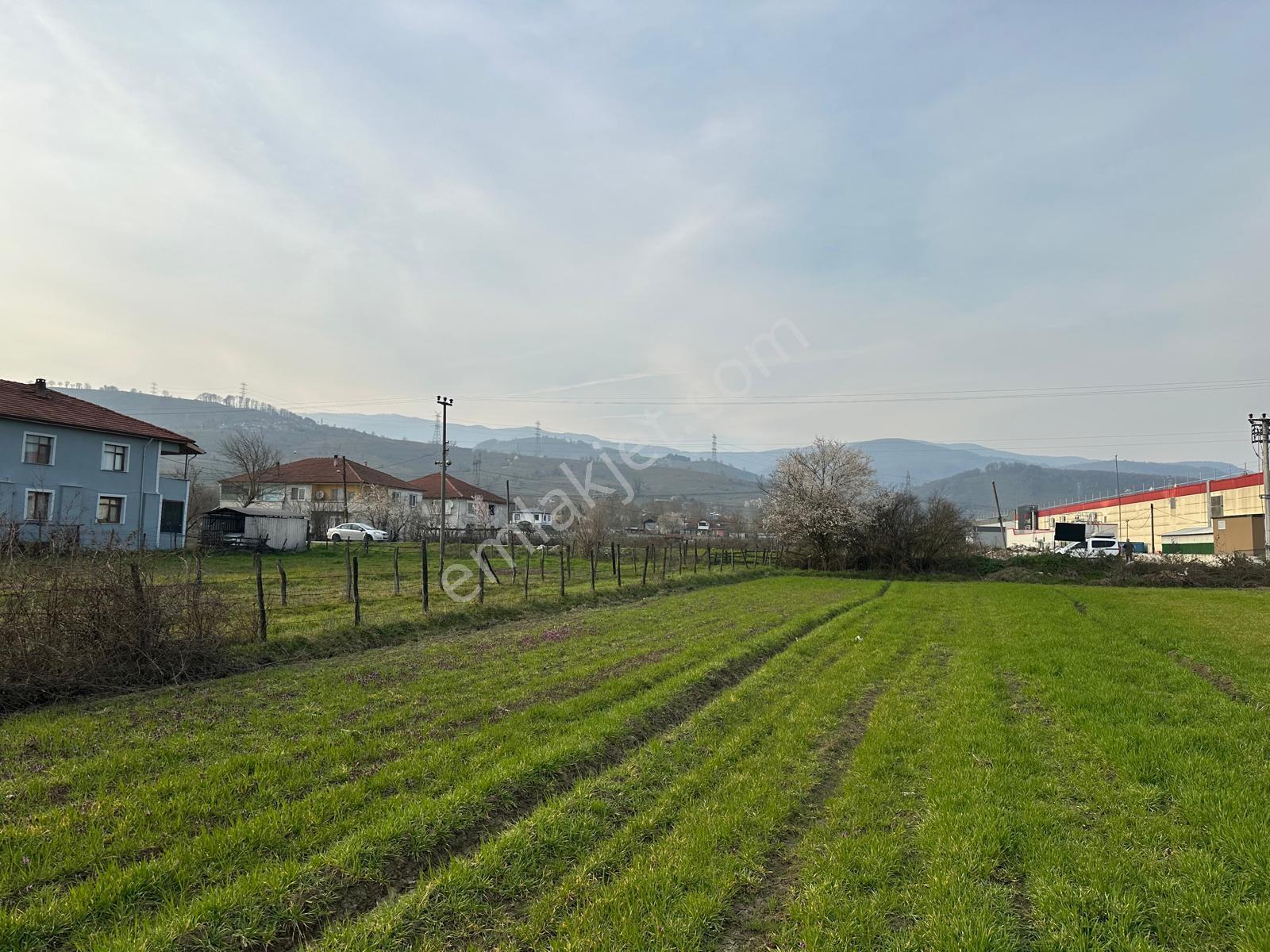 Aynalıda Cadde Üstü 8.648 M2 %40 Depo İmarlı Arsa - Görsel 17