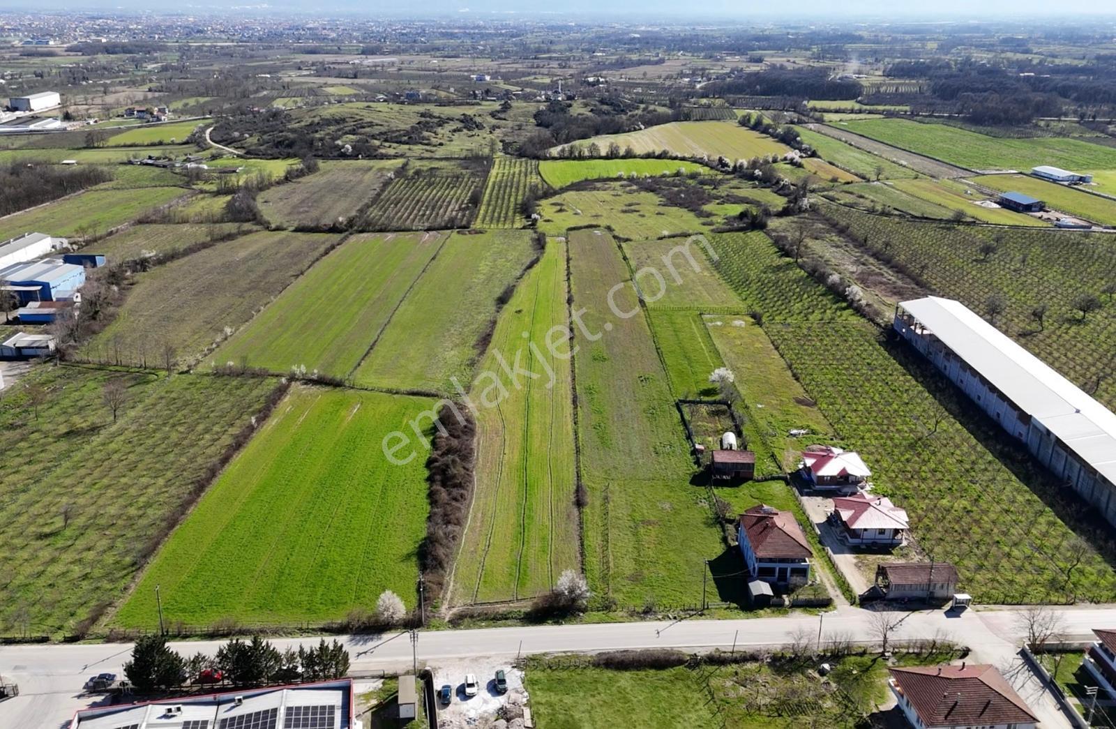 Aynalıda Cadde Üstü 8.648 M2 %40 Depo İmarlı Arsa - Görsel 13