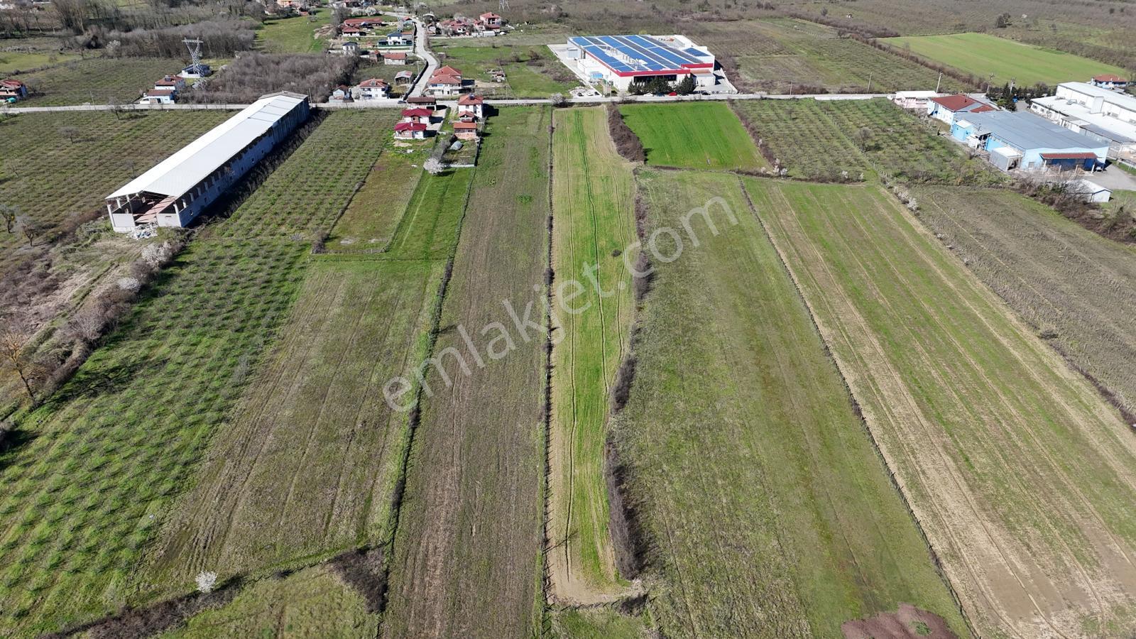 Aynalıda Cadde Üstü 8.648 M2 %40 Depo İmarlı Arsa - Görsel 4