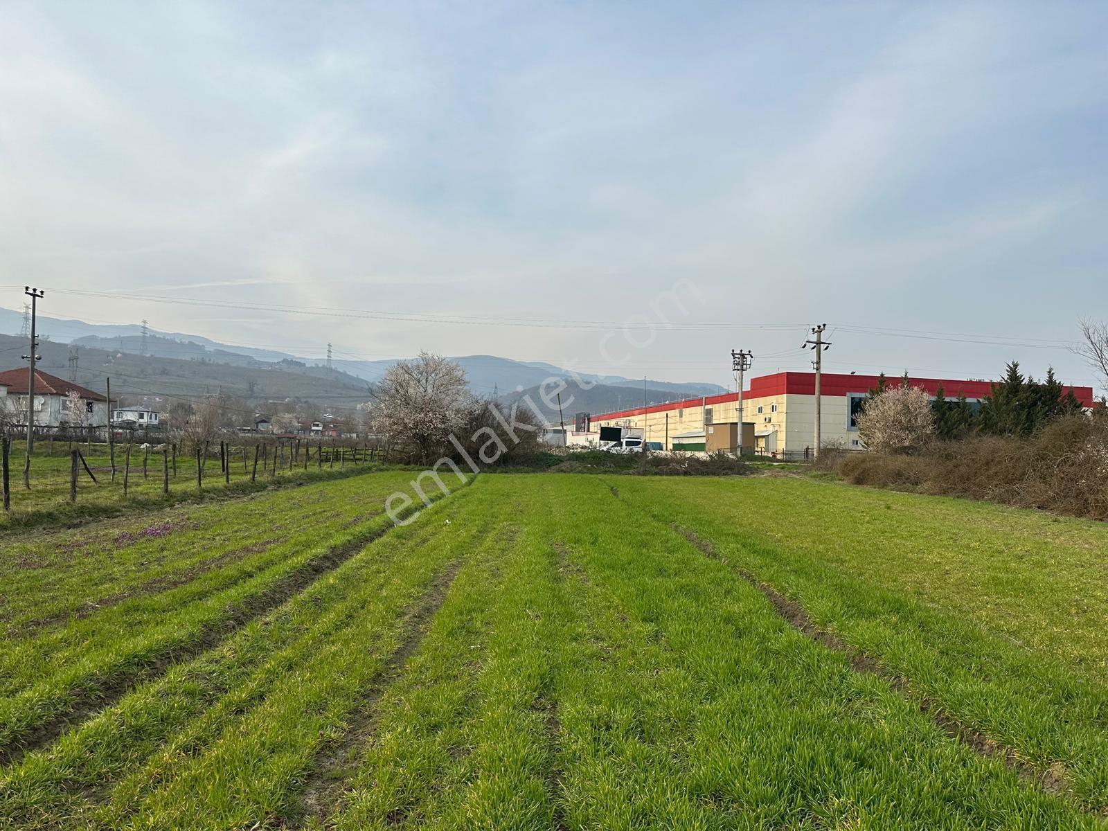 Aynalıda Cadde Üstü 8.648 M2 %40 Depo İmarlı Arsa - Görsel 18