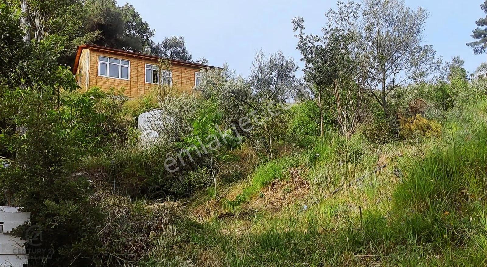 Sakarya Pamukovada Doğa Harikası Evi İçinde Satılık Arsa - Görsel 9