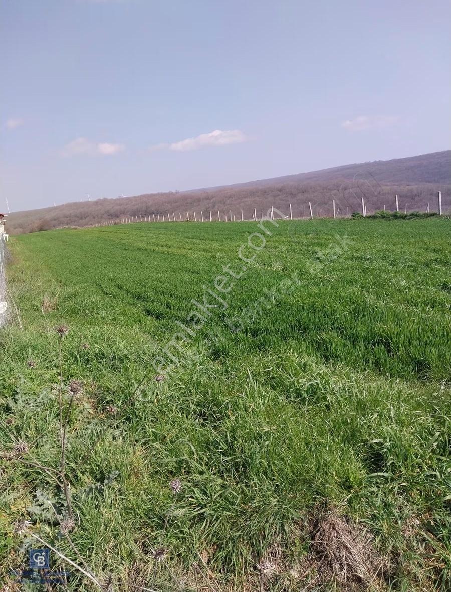 İstanbul Silivri'de Satılık Tarla