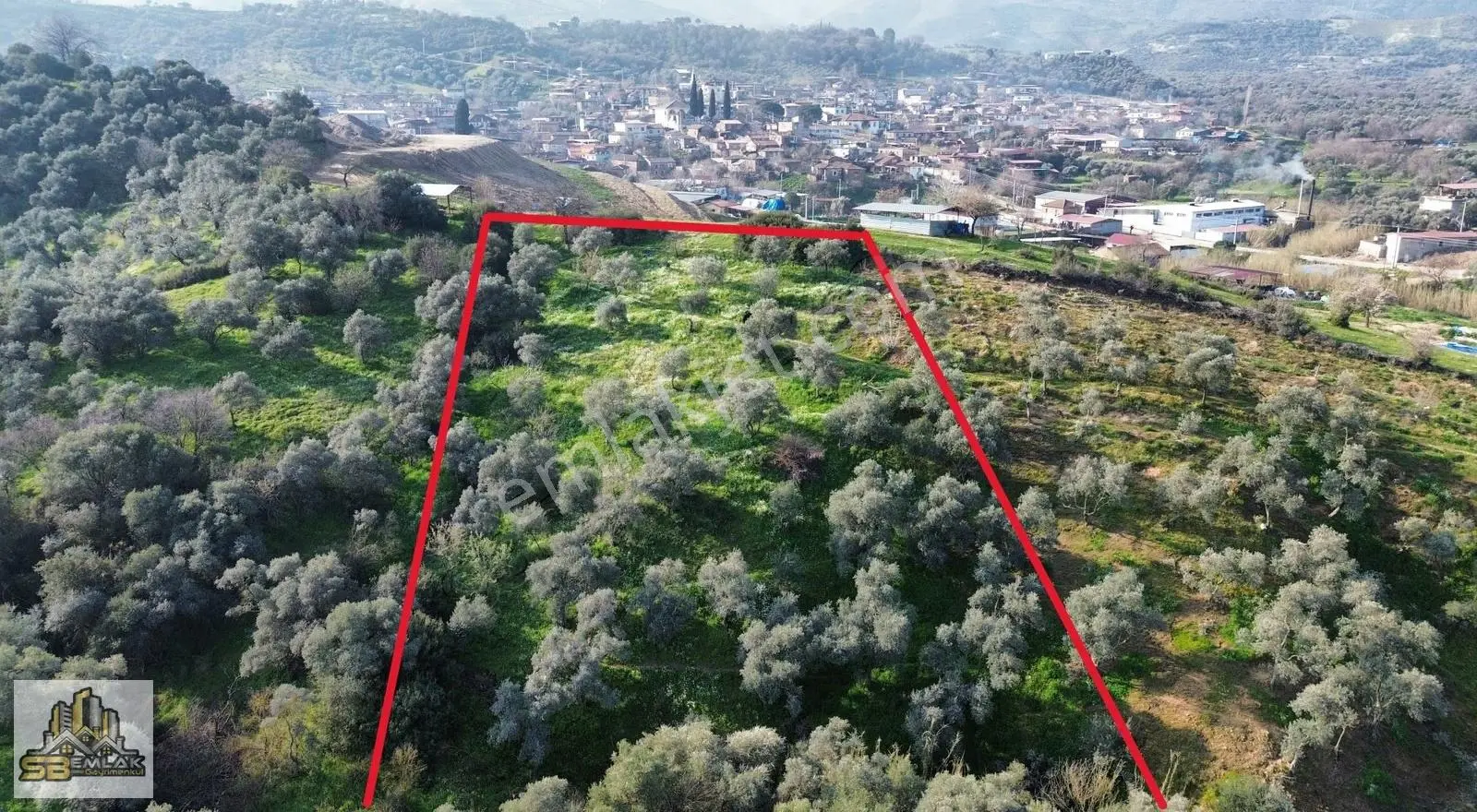 İzmir Tire Sbemlak'tan Peşrefli'de Yatırımlık Fırsat Zeytinlik - Görsel 8