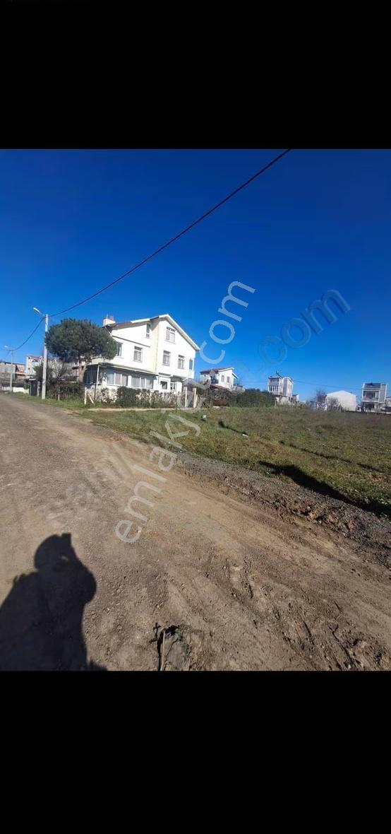 300m2 Villa İmarlı Arsa Marmara Erelisi De - Görsel 15