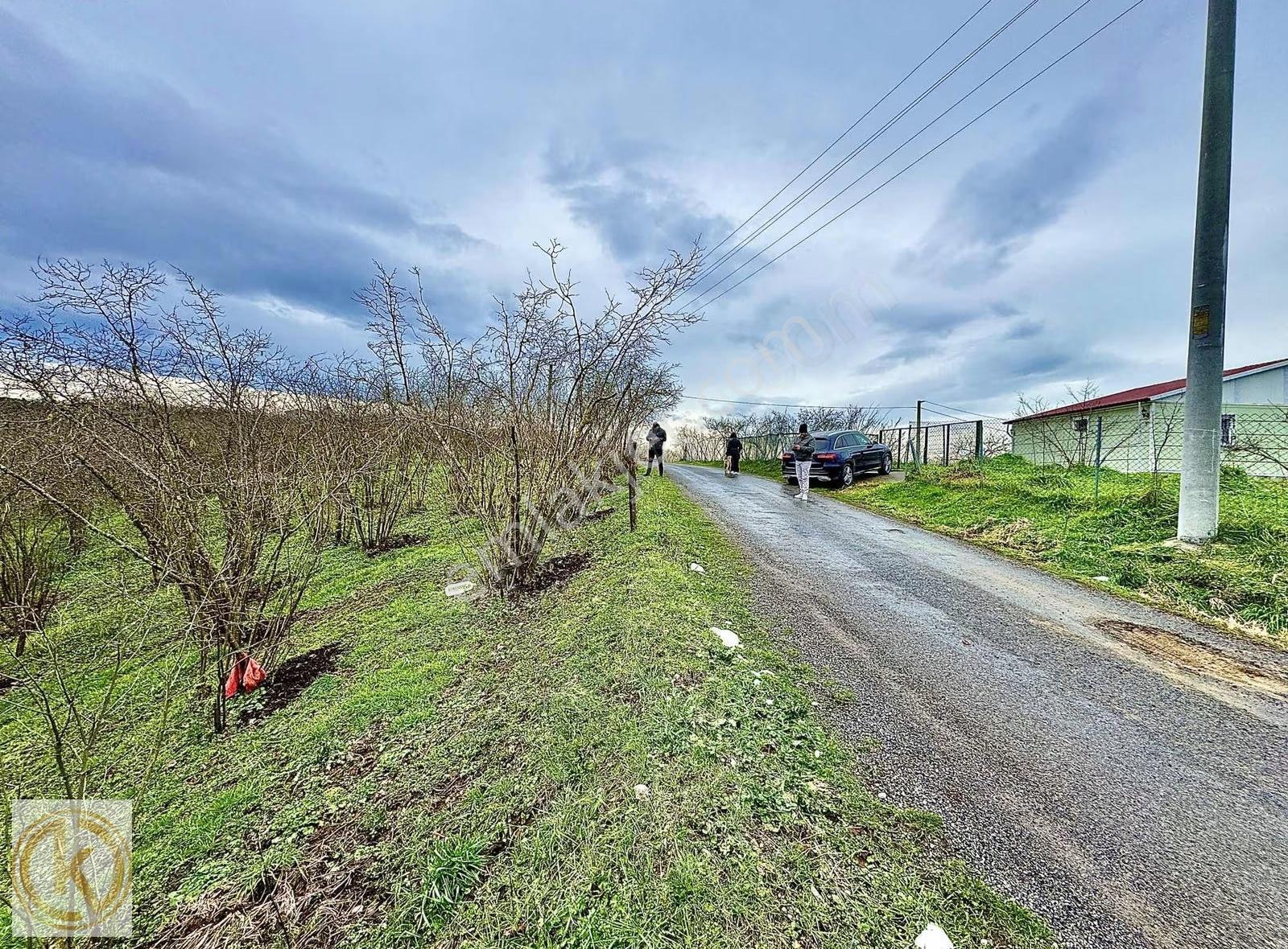 Kaymak Emlaktan Karasu Kurumeşe'de Köy İçi İmarlı 4.880m2 Arsa - Görsel 13