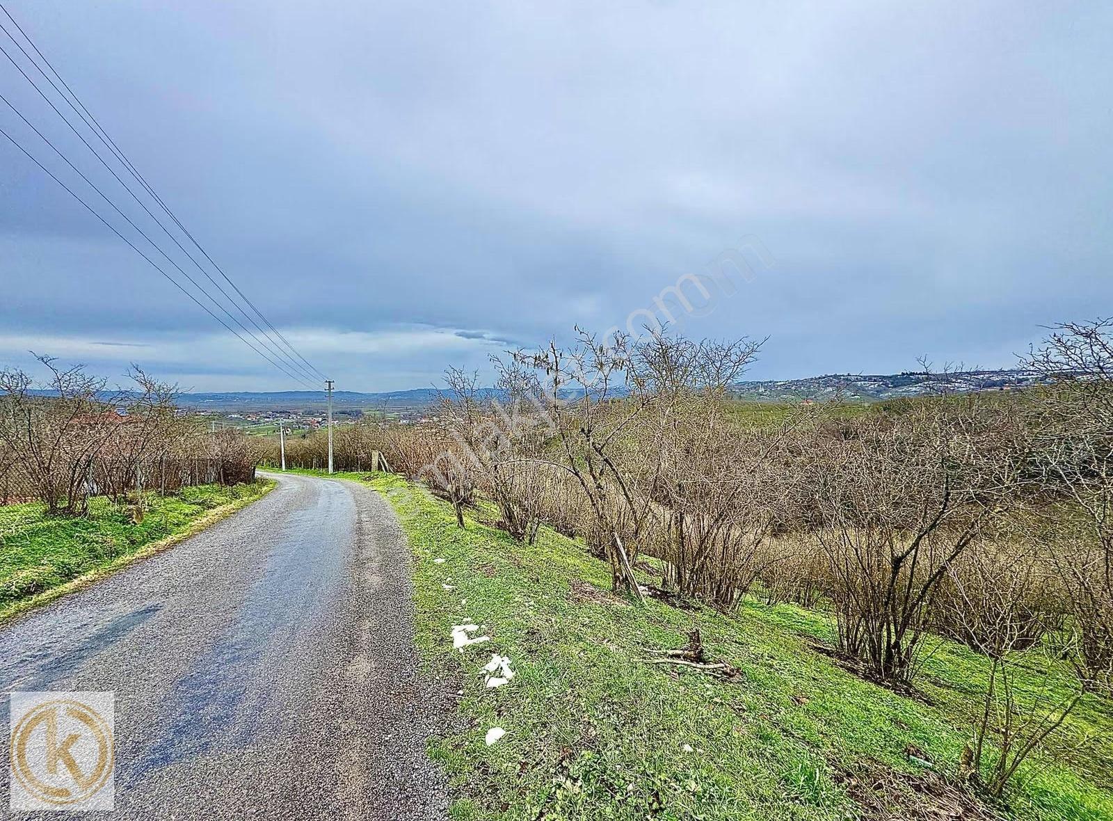 Kaymak Emlaktan Karasu Kurumeşe'de Köy İçi İmarlı 4.880m2 Arsa - Görsel 21