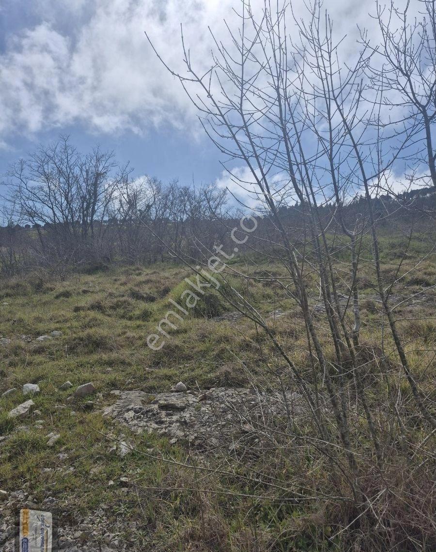 Şile Ağva Bucaklı Köyünde Satılık Tarla - Görsel 2