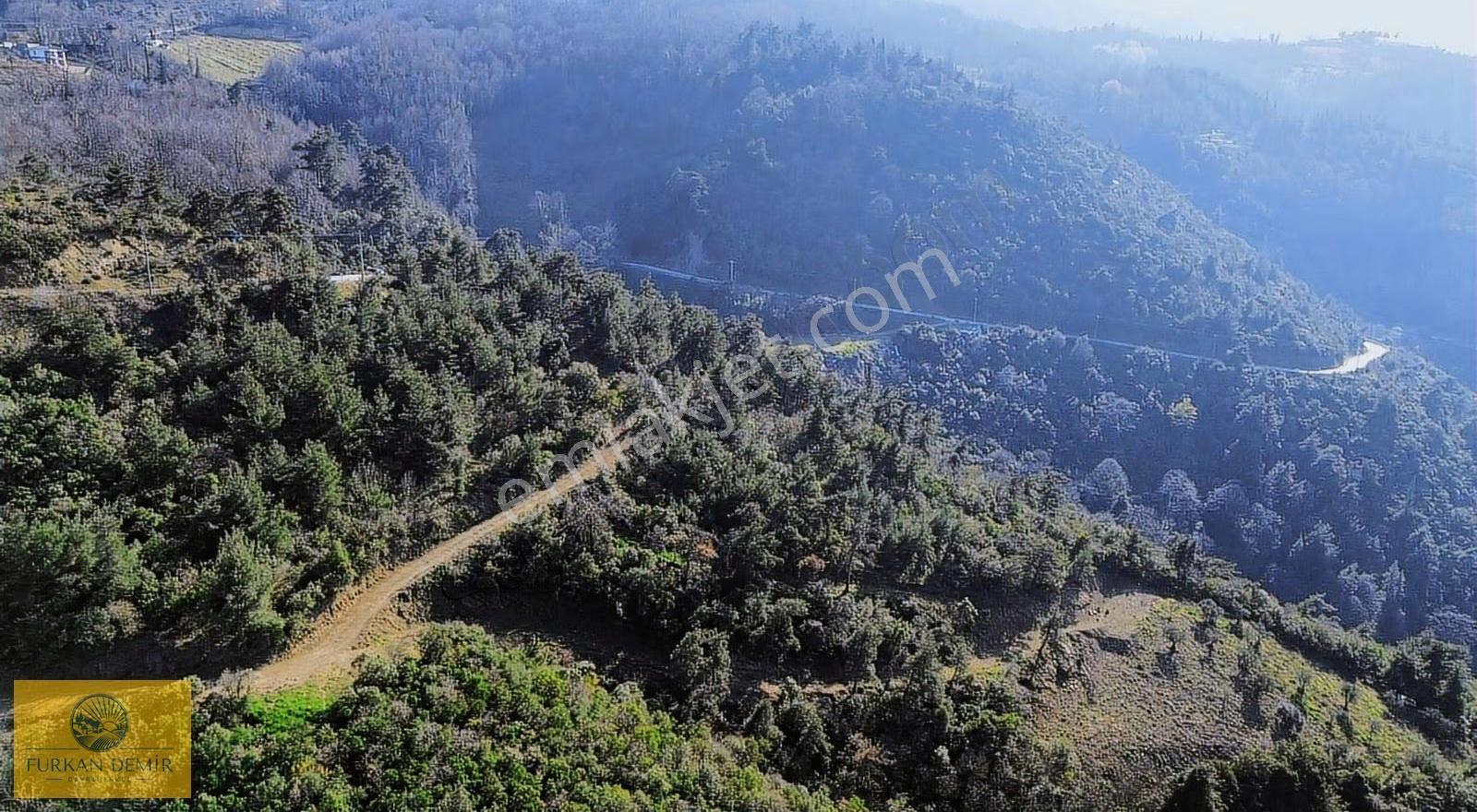 Furkan Demir'den Karamürsel Ereğli'de 2946 M2 Satılık Bahçe - Görsel 6