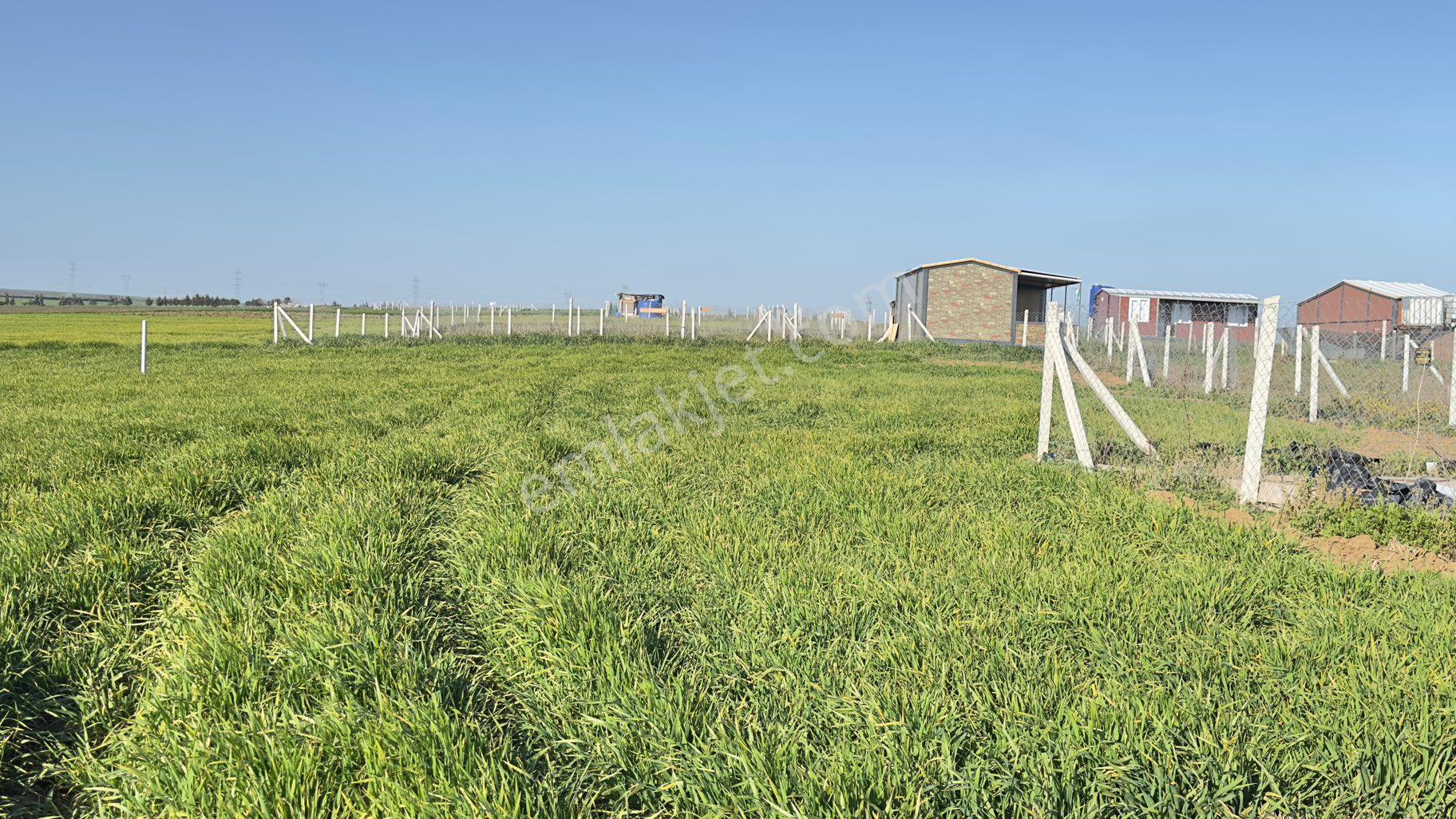 Marmara Ereğlisinde Yatırımlık Parseller - Görsel 8