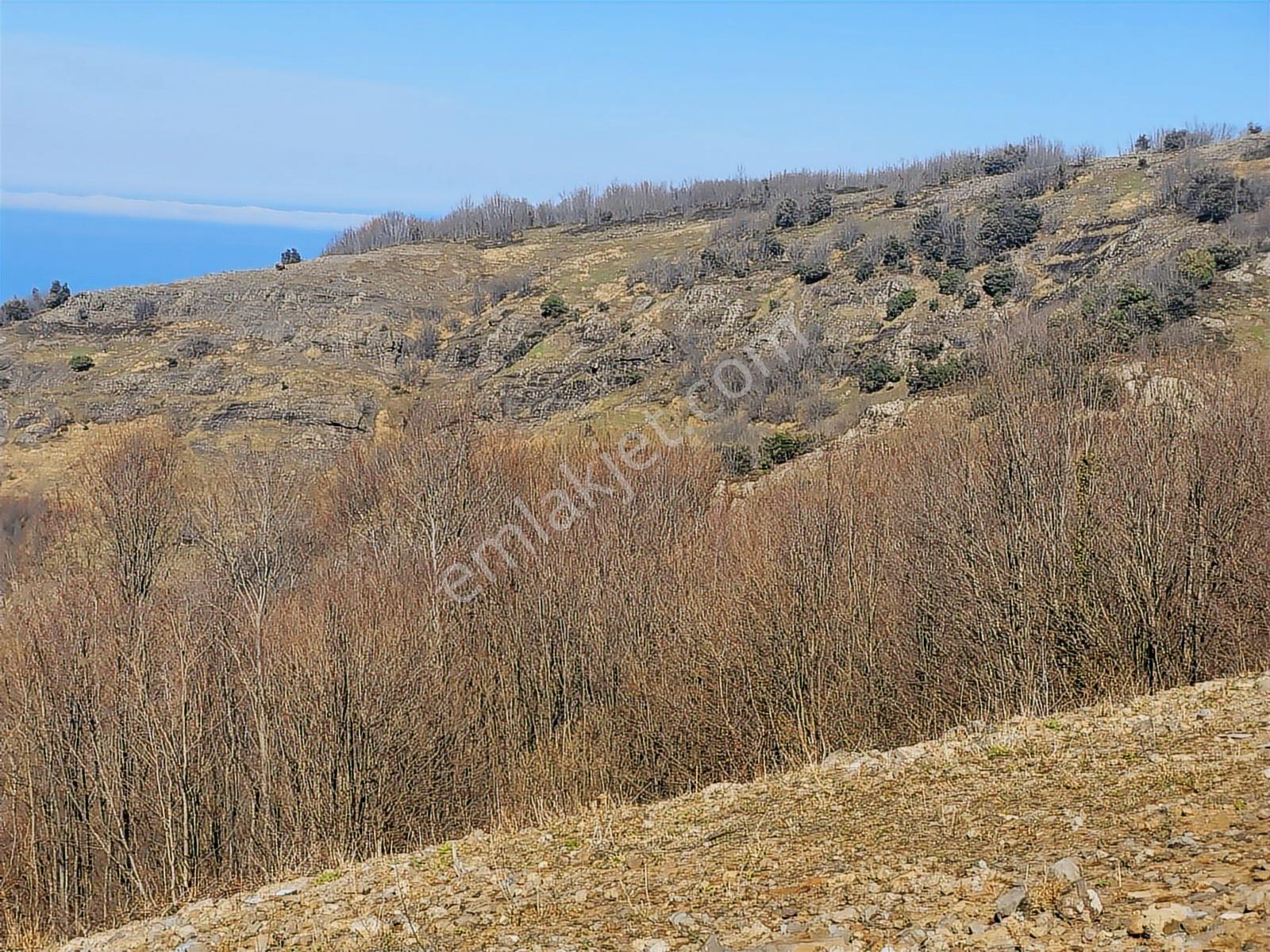 0554 8000 522 Komşu Deniz Manzaralı Eşsiz Satılık Arsa - Görsel 17