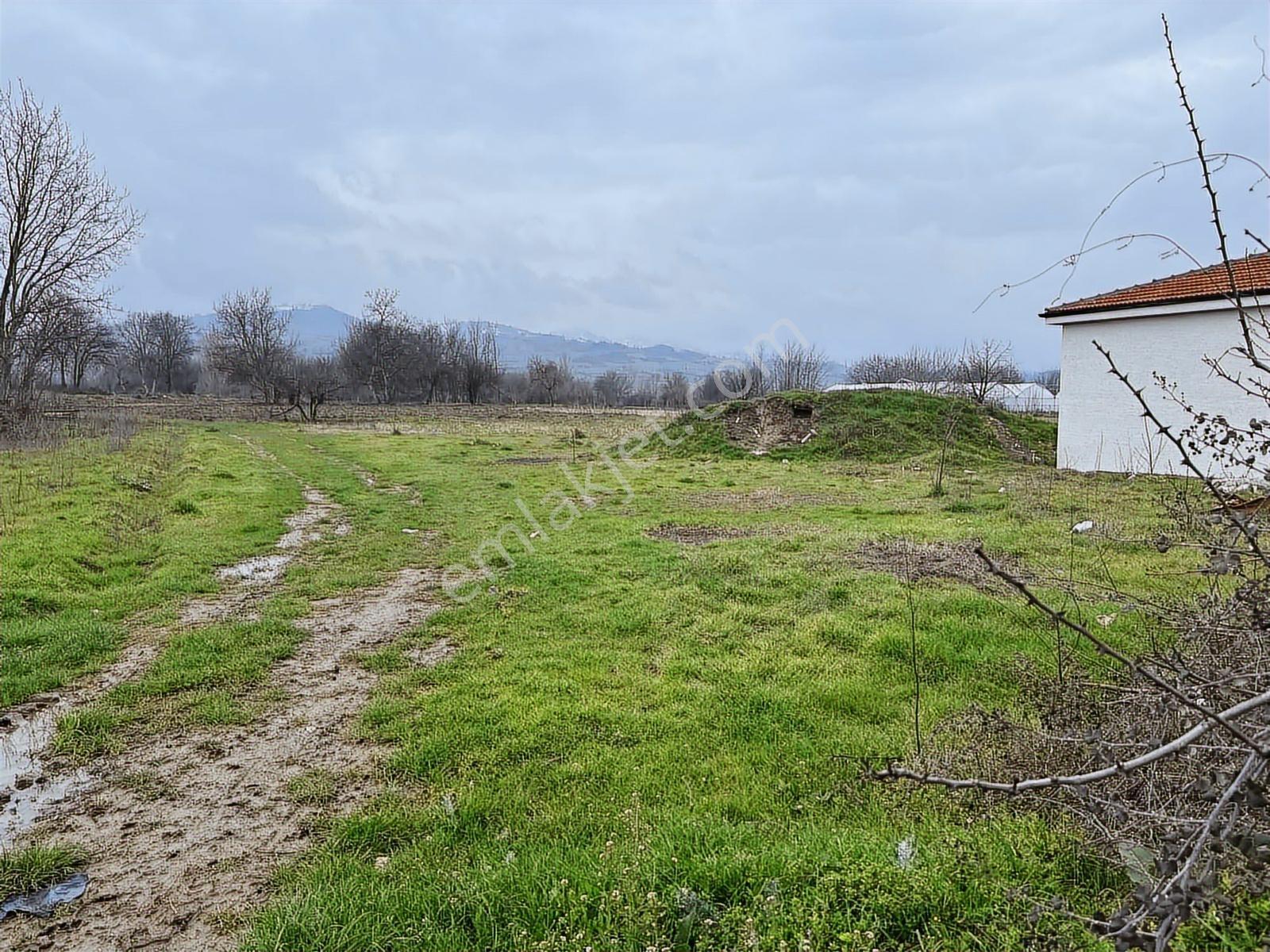 İnegöl Alibey Mh.sinde 483m2 İmarlı Villa Arsası Tek Tapu - Görsel 16
