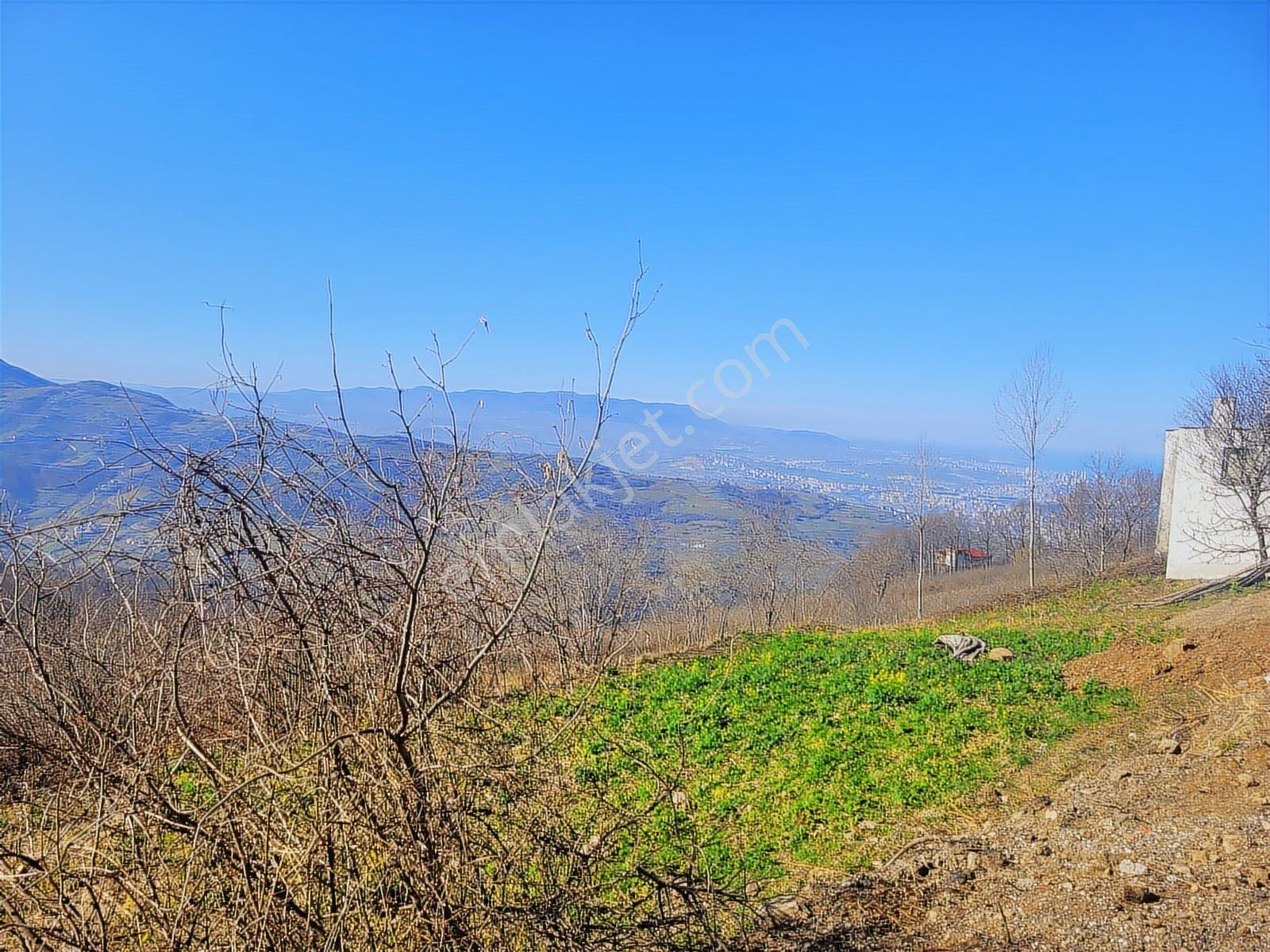 0554 8000 522 Canik Gürgenyatak Cadde Cepheli Manzaralı Arsa - Görsel 9