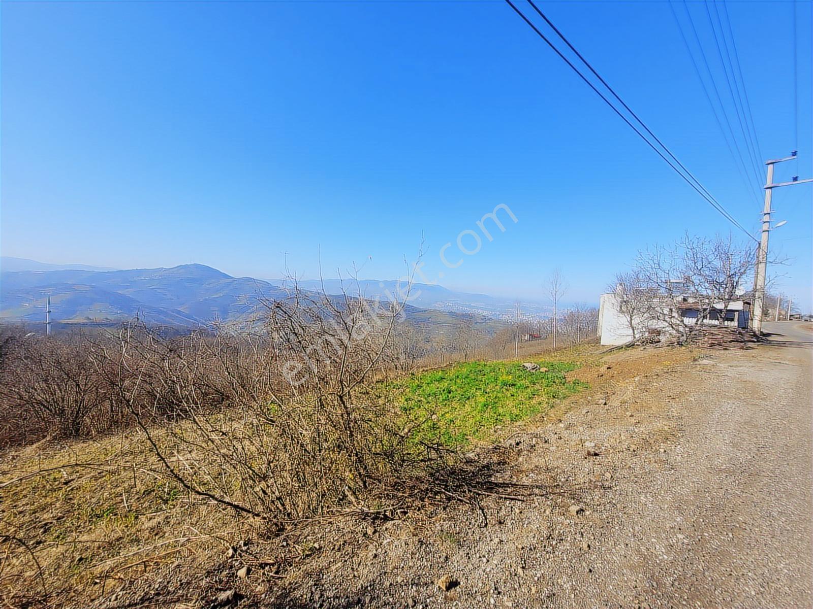 0554 8000 522 Canik Gürgenyatak Cadde Cepheli Manzaralı Arsa - Görsel 12