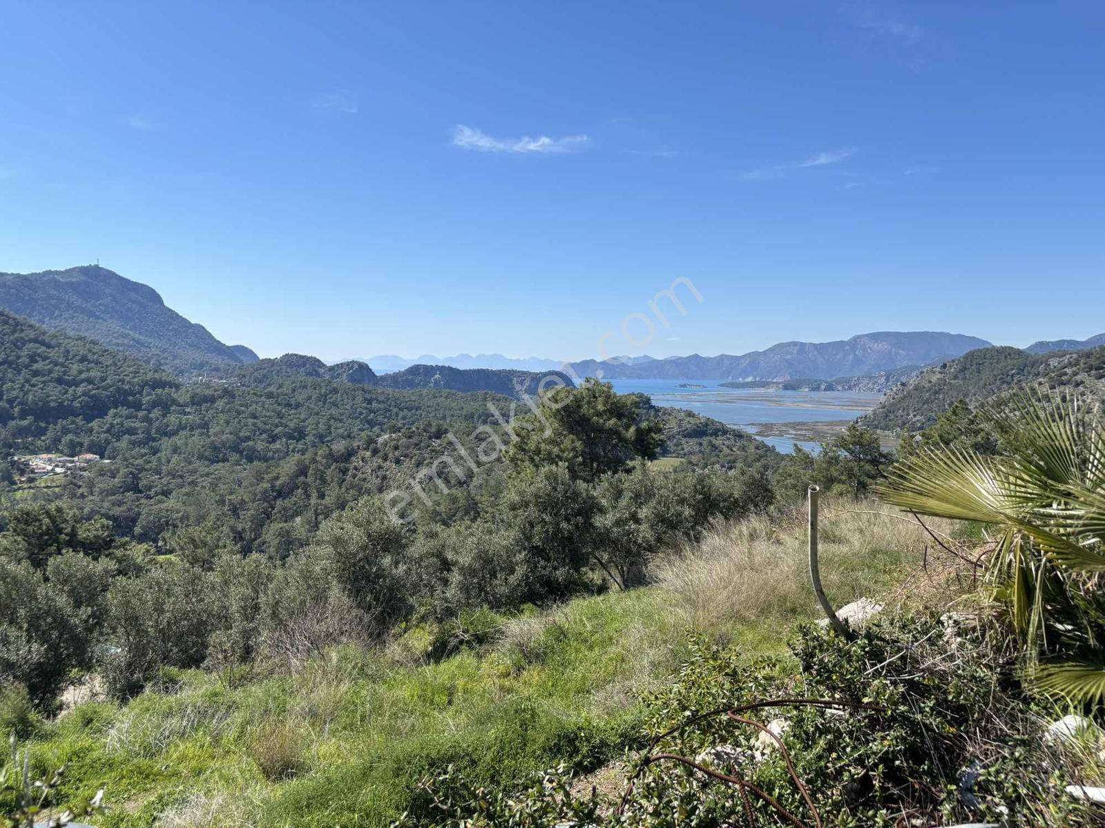 Nysa Emlak'tan Deniz Ve Göl Manzaralı 1000 M2 Satılık Arazi - Görsel 13