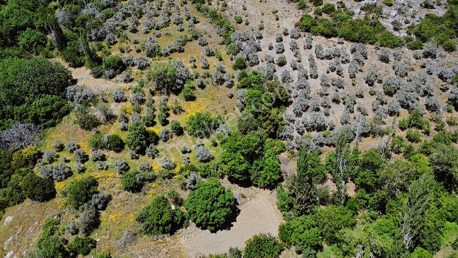 Torbalı Dağtekke Mah Satılık Konut İmarlı Arsa - Görsel 11