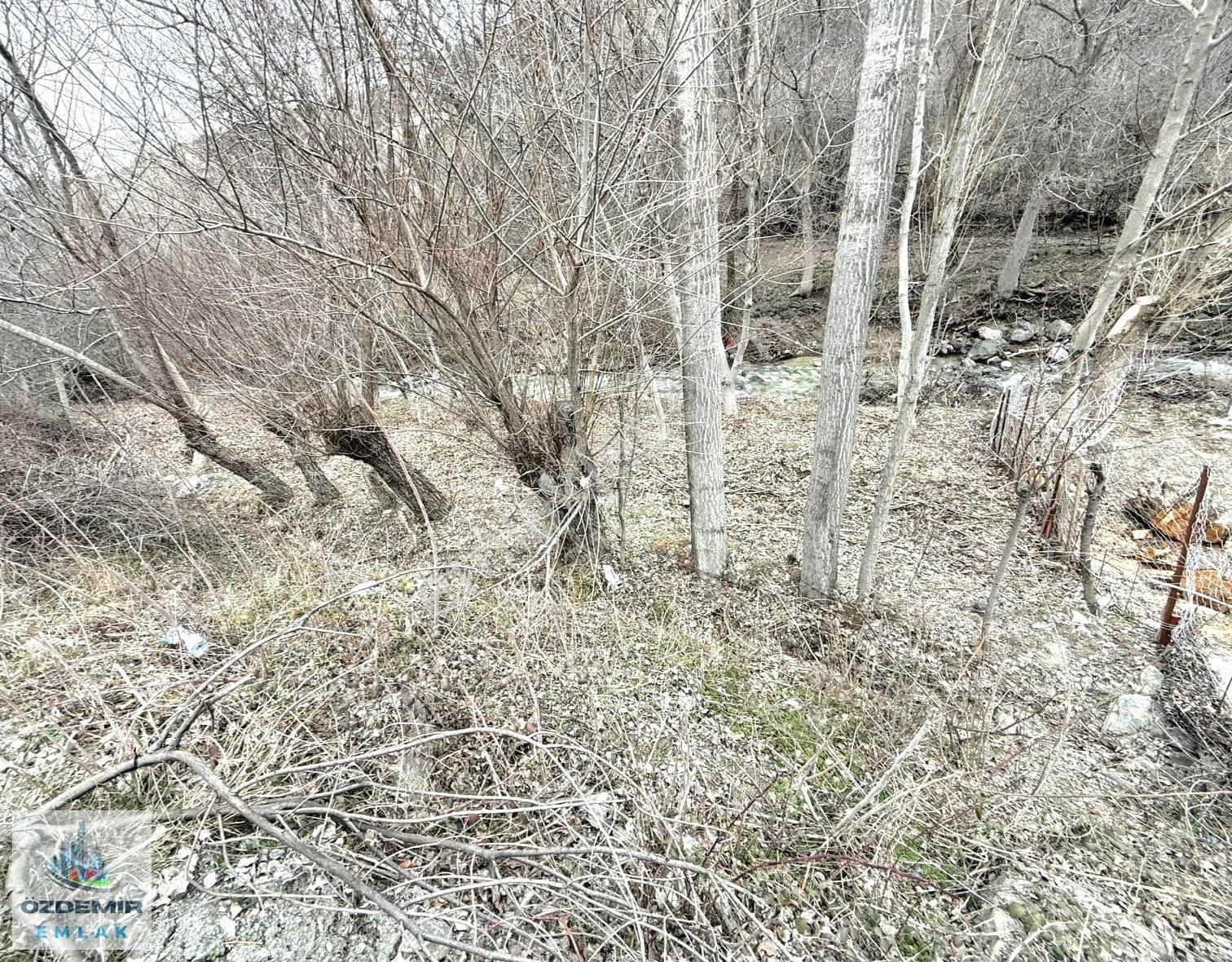 Özdemir Emlak Tan Kıbrıs Kanyon Da Su Kenarı Doga İle Baş Başa - Görsel 3
