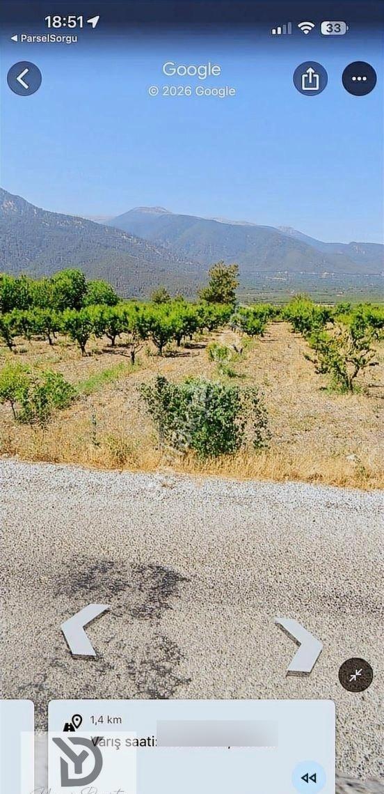 Honazda Satılık Şeftali Bahçesi - Görsel 2