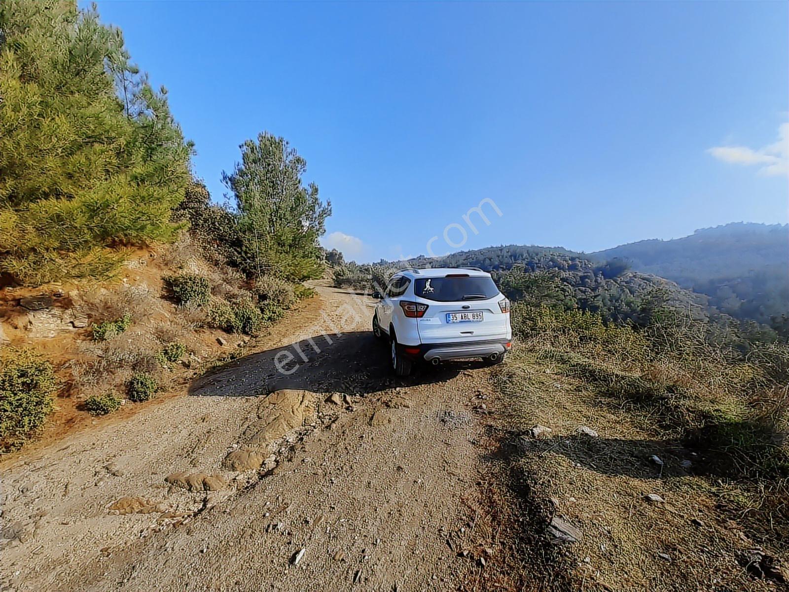 Torbalı Helvacı Mah.9412 M2 Müstakil Parsel Zeytinlik - Görsel 23