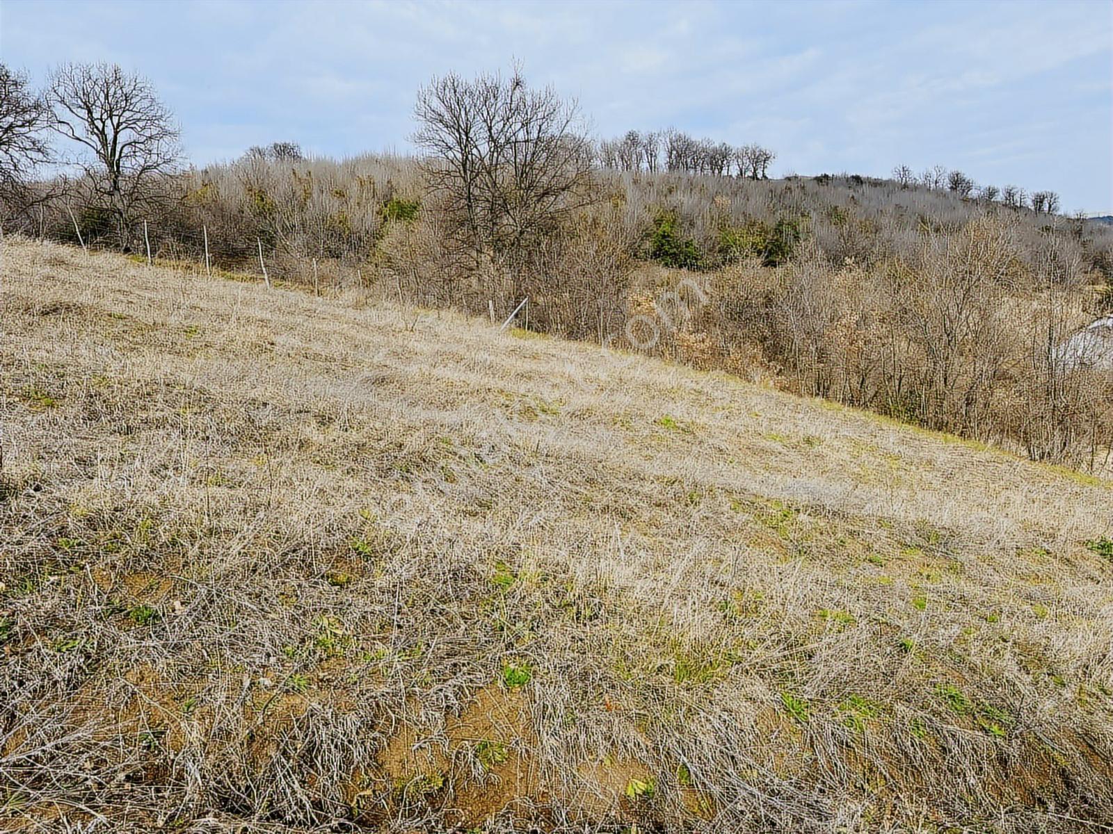 Ahuluda 5 Binlik İmarı Onaylanmış 2350 M2 4 Kata İmarlı Arsa - Görsel 11