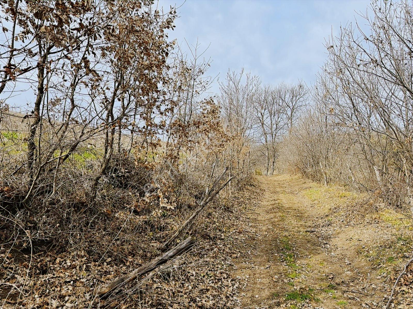 Ahuluda 5 Binlik İmarı Onaylanmış 2350 M2 4 Kata İmarlı Arsa - Görsel 7