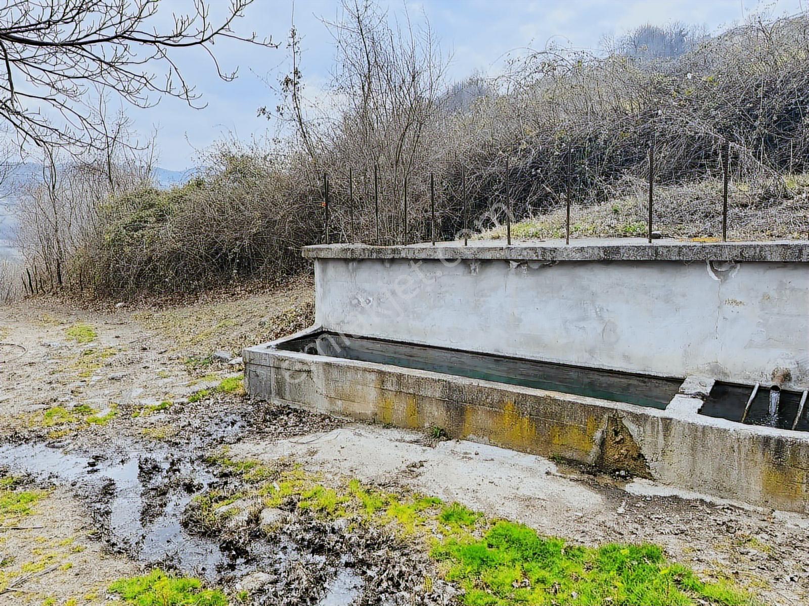 Ahuluda 5 Binlik İmarı Onaylanmış 2350 M2 4 Kata İmarlı Arsa - Görsel 4