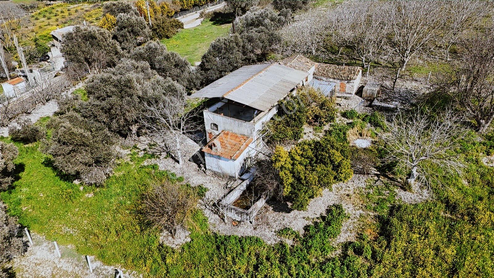 Urla Torasanda 11.259 M² Taş Evli Zeytinlik - Bağ Evi - Görsel 16