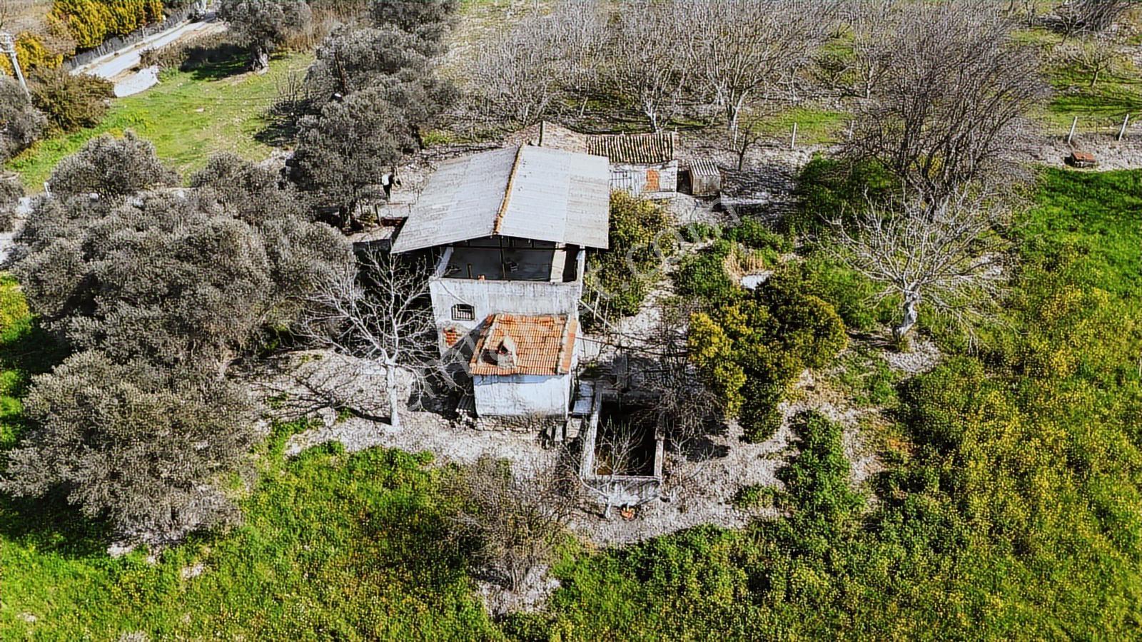 Urla Torasanda 11.259 M² Taş Evli Zeytinlik - Bağ Evi - Görsel 24