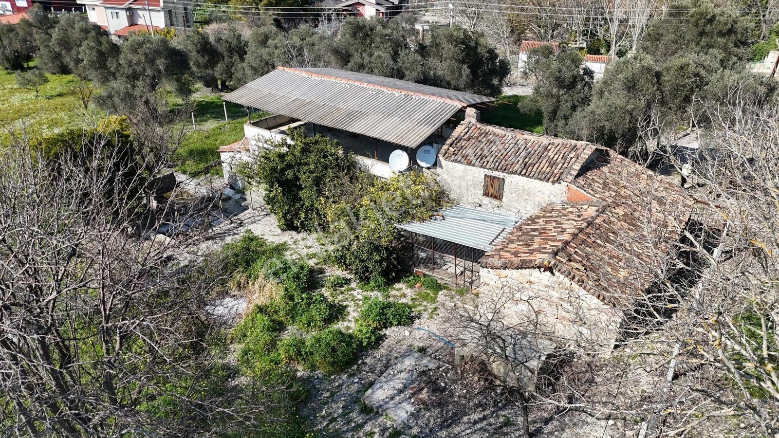 Urla Torasanda 11.259 M² Taş Evli Zeytinlik - Bağ Evi - Görsel 27