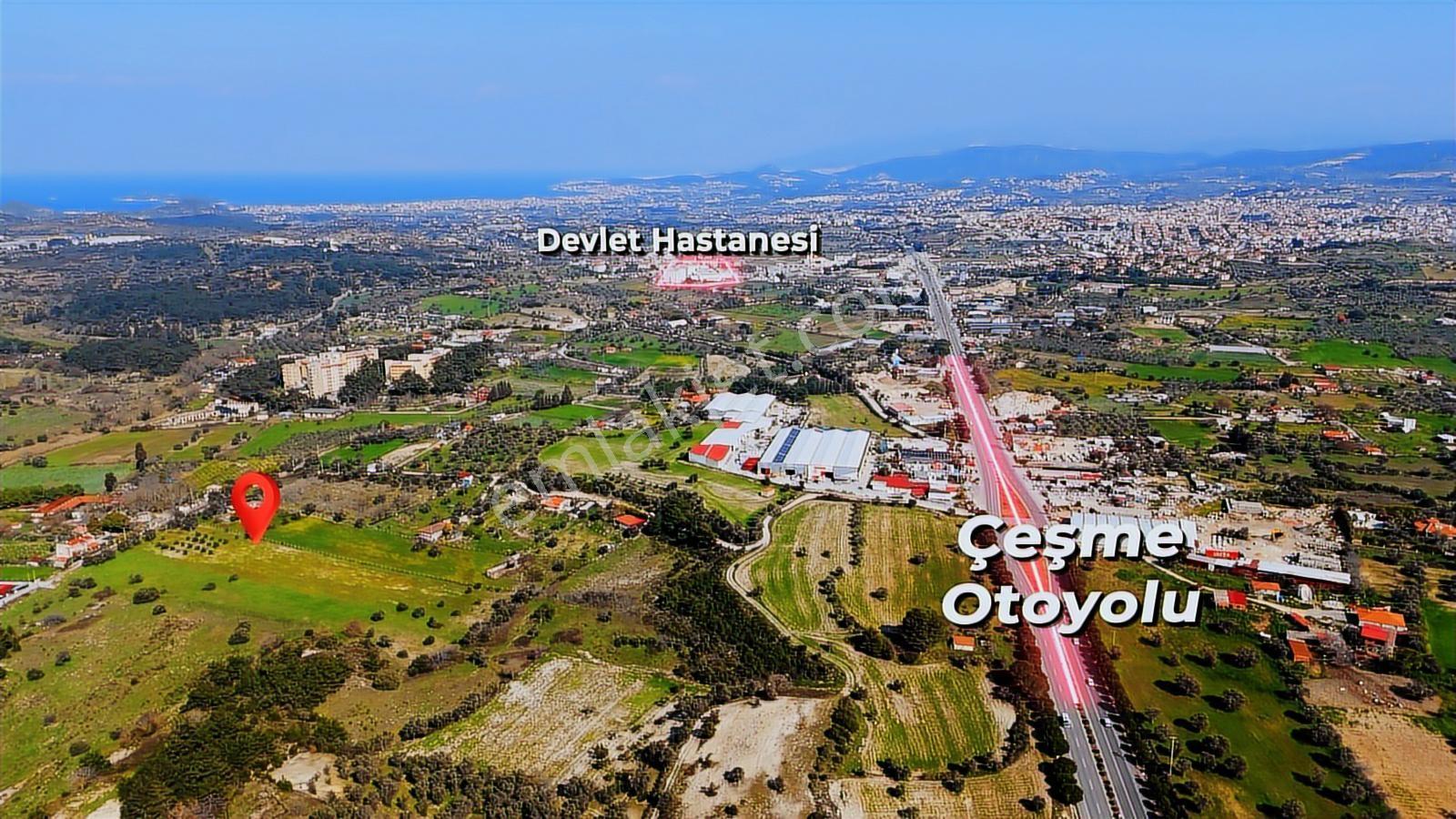 Urla Torasanda 11.259 M² Taş Evli Zeytinlik - Bağ Evi - Görsel 3