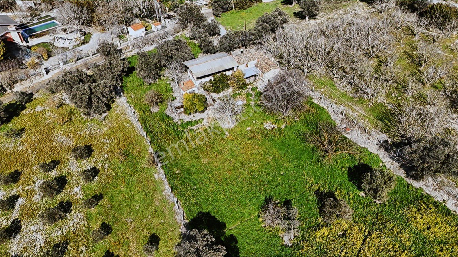 Urla Torasanda 11.259 M² Taş Evli Zeytinlik - Bağ Evi - Görsel 23